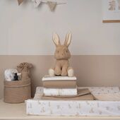 Hoe schattig is de baby bunny collectie van Little Dutch? ????????

#Baby #Bunny #LittleDutch #BabyBaby